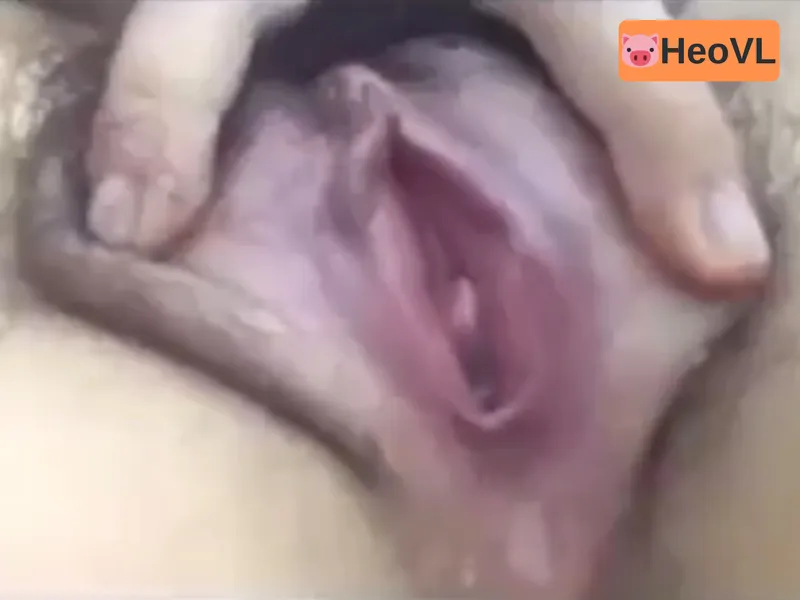 Người yêu show cận cảnh bướm đang thở